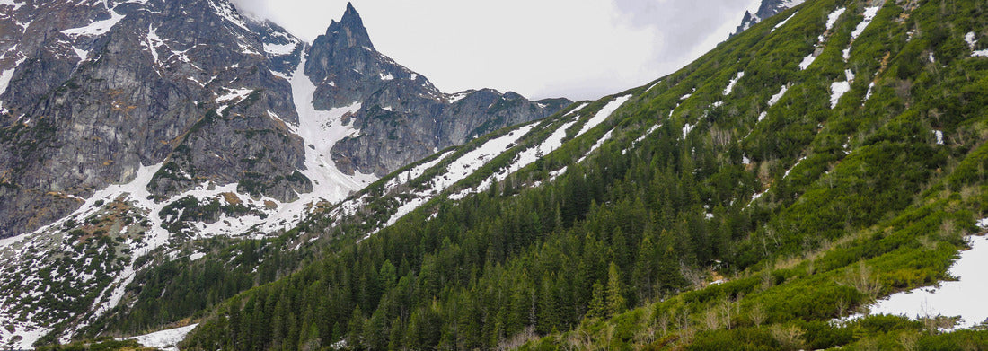 Noah Jigsaw Puzzle Lake in mountains. Morskie Oko Sea Eye Lake is the most popular place in High Tatra Mountains, Poland panorama 1000 pieces