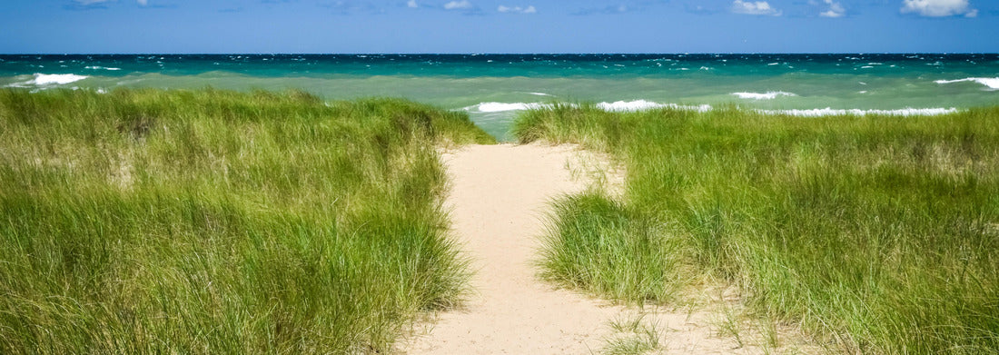 Noah Jigsaw Puzzle Lake Michigan in Indiana Dunes National Park panorama 1000 pieces
