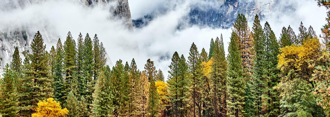 Noah Jigsaw Puzzle Yosemite National Park Valley at cloudy autumn morning. Low clouds lay in the valley. California, USA panorama 1000 pieces