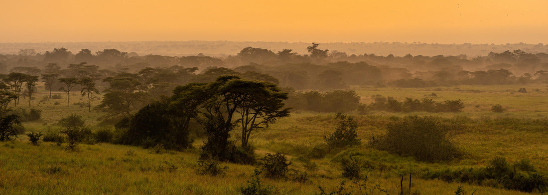 Noah Jigsaw Puzzle Musytic sunrise in the savannah of Uganda panorama 1000 pieces