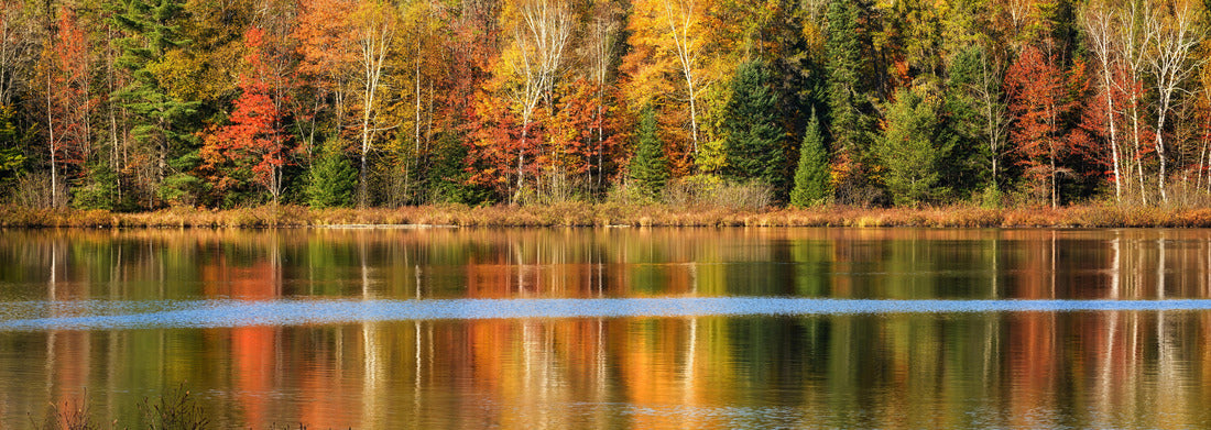 Noah Jigsaw Puzzle Autumn colors reflected in an upper Michigan lake, Hiawatha National Forest near Munising panorama 1000 pieces