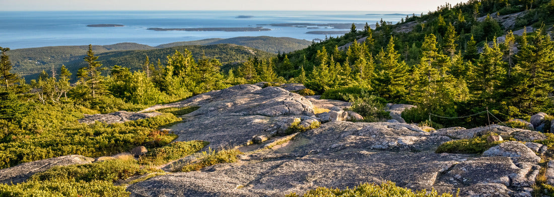Noah Jigsaw Puzzle Cadillac mountain Acadia National park panorama 1000 pieces