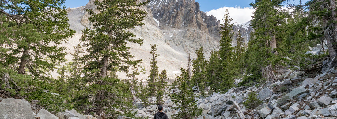 Noah Jigsaw Puzzle Boy hiking in ancient bristlecone pine forest in Great Basin National Park, Baker, Nevada, USA panorama 1000 pieces