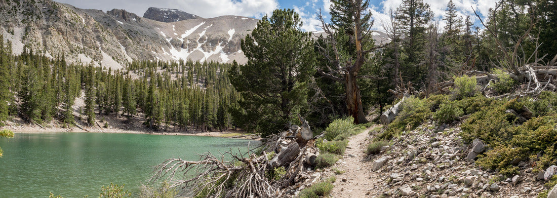 Theresa Lake, alpine lake in Great Basin National Park, Baker, Nevada, USA 1000pc Panoramic Puzzle