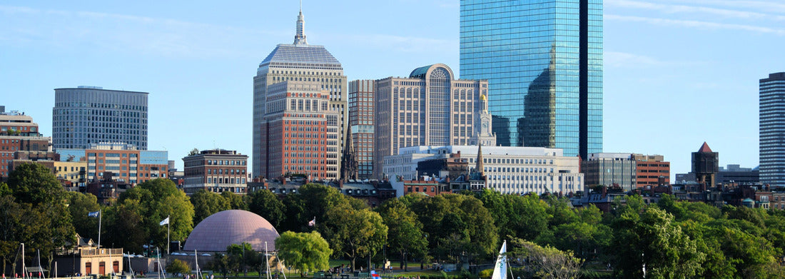 Noah Jigsaw Puzzle Back Bay skyline and Charles River Boston Massachusetts panorama 1000 pieces
