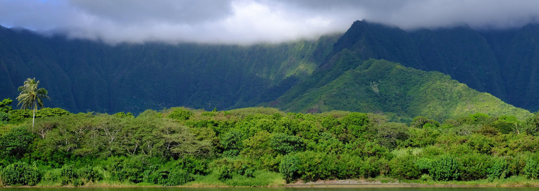 Noah Jigsaw Puzzle Ahuimanu Stream in Kahaluu, Oahu, Hawaii. Stream in foreground and Ko'olau mountains in the background. Surrounding landscape includes palm trees and tropical forest panorama 1000 pieces