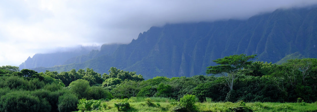 Noah Jigsaw Puzzle Ahuimanu Stream in Kahaluu, Oahu, Hawaii. Stream in foreground and Ko'olau mountains in the background. Surrounding landscape includes palm trees and tropical forest panorama 1000 pieces