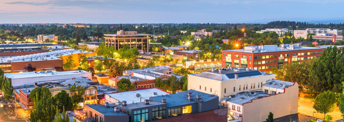 Noah Jigsaw Puzzle Salem, Oregon, USA downtown city skyline at dusk panorama 1000 pieces
