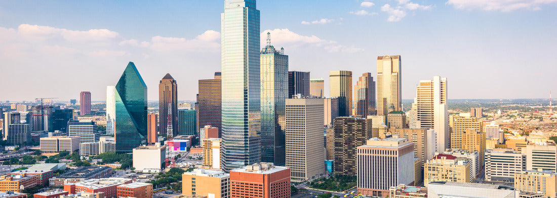 Noah Jigsaw Puzzle Dallas, Texas, USA City Skyline panorama 1000 pieces