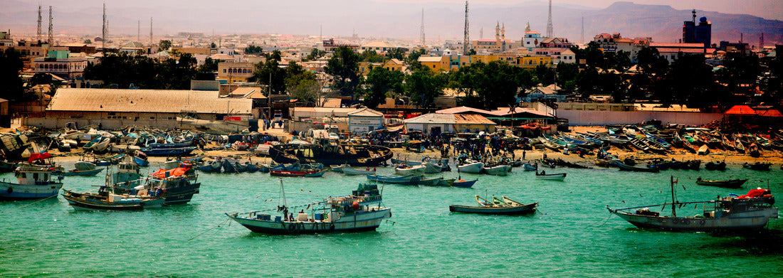 Noah Jigsaw Puzzle Port of Bossaso Somalia and a fish market panorama 1000 pieces