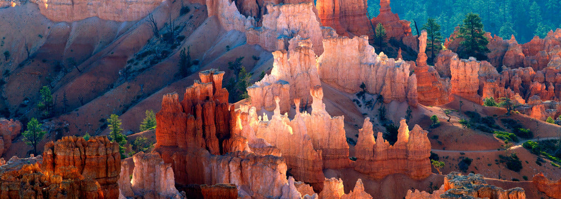 Noah Jigsaw Puzzle Beautiful colors in the Canyon, Bryce Canyon National Park, Utah, USA panorama 1000 pieces