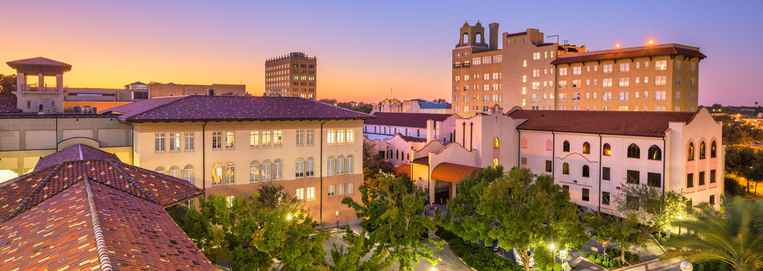 Noah Jigsaw Puzzle Lakeland, Florida, USA Cityscape at the town hall during dusk panorama 1000 pieces