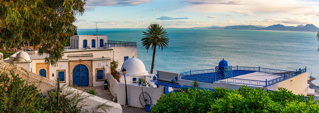 Noah Jigsaw Puzzle Sidi Bou Said Town in Tunisia Known for extensive use of blue and white panorama 1000 pieces