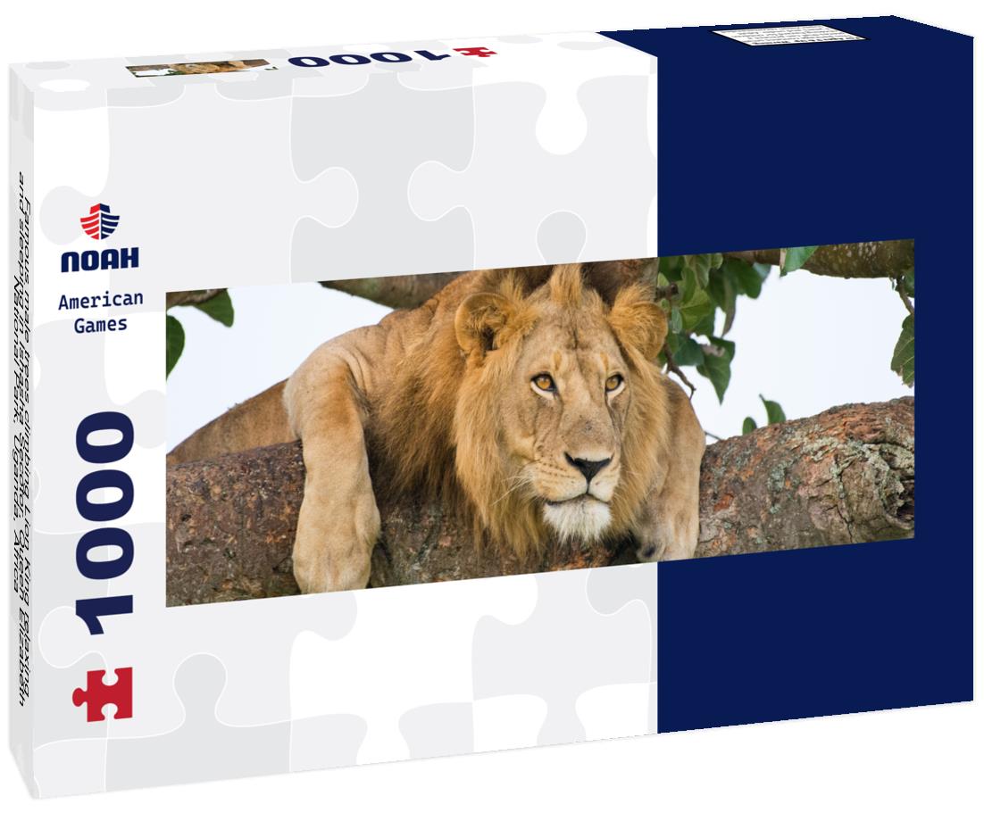 Noah Jigsaw Puzzle Famous male trees climbing Lion King relaxing and sleeping in Ishasha Secotor, Queen Elizabeth National Park, Uganda, Africa panorama 1000 pieces