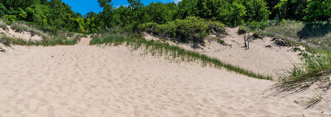 Noah Jigsaw Puzzle Indiana Dunes State Park near Porter, Indiana, USA panorama 1000 pieces