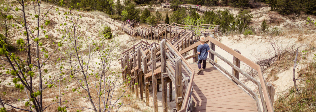 Noah Jigsaw Puzzle Boardwalk steps down a dune at Indiana Dunes National Park panorama 1000 pieces