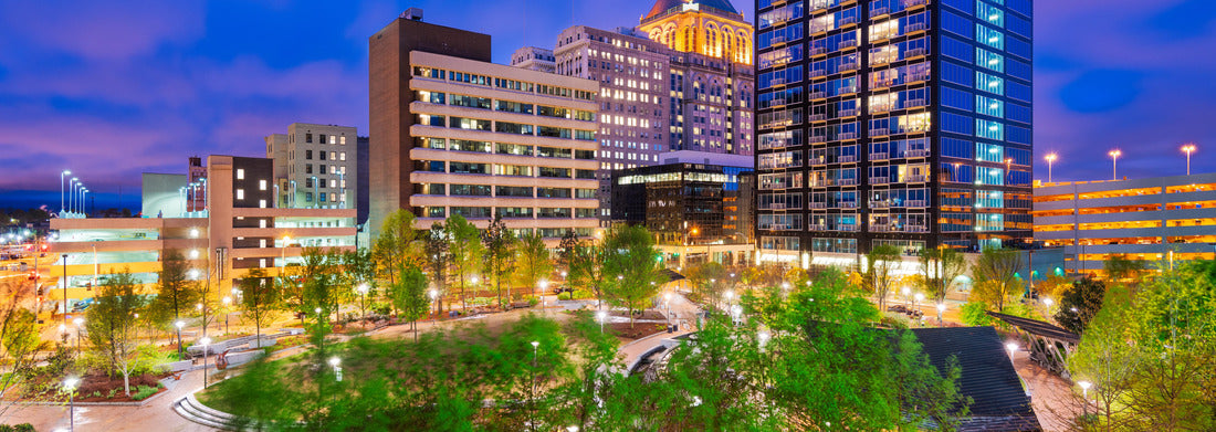 Noah Jigsaw Puzzle Greensboro, North Carolina, USA downtown city skyline at night panorama 1000 pieces