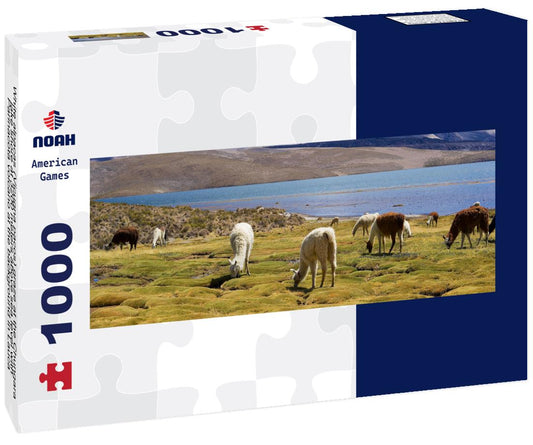 Noah Jigsaw Puzzle White alpacas (Vicugna pacos) graze at the Chungara lake shore at 3200 meters above sea level with Parinacota volcano at the background in Lauca National park near Putre, Chile panorama 1000 pieces