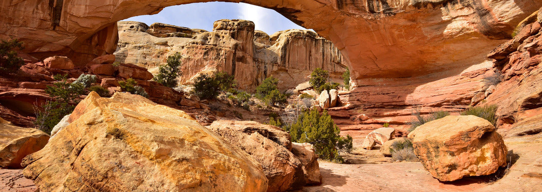 Noah Jigsaw Puzzle Capitol Reef National Park and surrounding area. Capitol Reef is one of five national parks in the state of Utah, USA Majestic red rock cliffs and natural bridges are common sites in the park panorama 1000 pieces