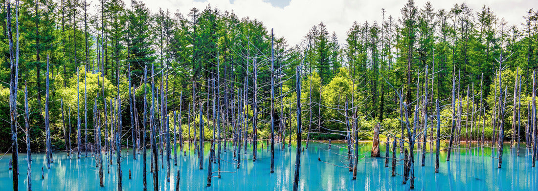 Noah Jigsaw Puzzle Blue Pond in summer, near Patchwork Road, near Town, Hokkaido, Japan panorama 1000 pieces