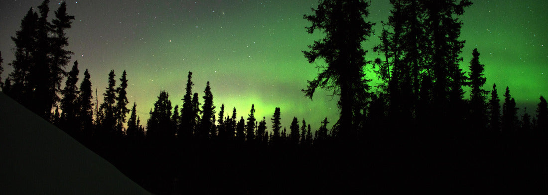 Noah Jigsaw Puzzle Aurora Borealis in North Star Borough of Fairbanks, Alaska - Harding Lake, Salcha panorama 1000 pieces