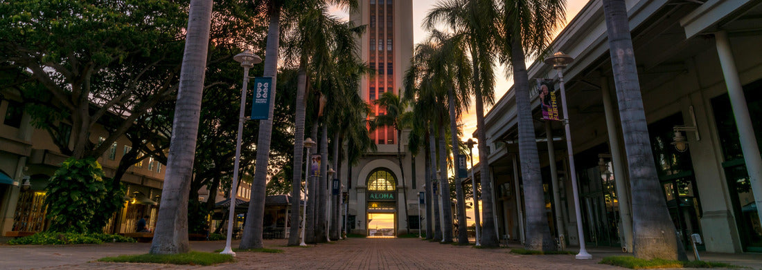 Noah Jigsaw Puzzle Honolulu tower during sunset in Honolulu panorama 1000 pieces