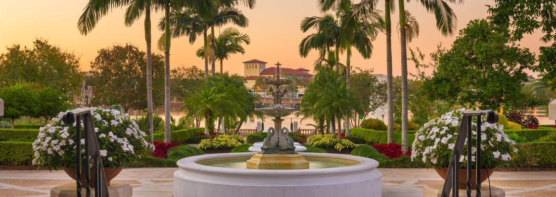 Noah Jigsaw Puzzle Lakeland, Florida, USA Gardens at night panorama 1000 pieces