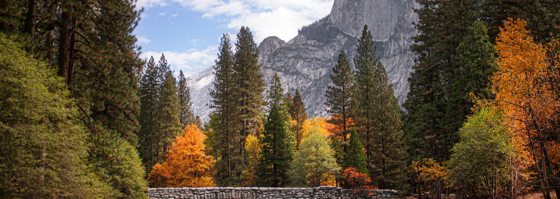 Noah Jigsaw Puzzle A vibrant fall scene of Half Dome in Yosemite National Park. Autumn colors and Half Dome from Stoneman Bridge panorama 1000 pieces