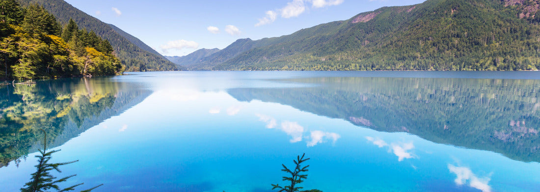 Noah Jigsaw Puzzle Lake Crescent at Olympic National Park, Washington, USA panorama 1000 pieces