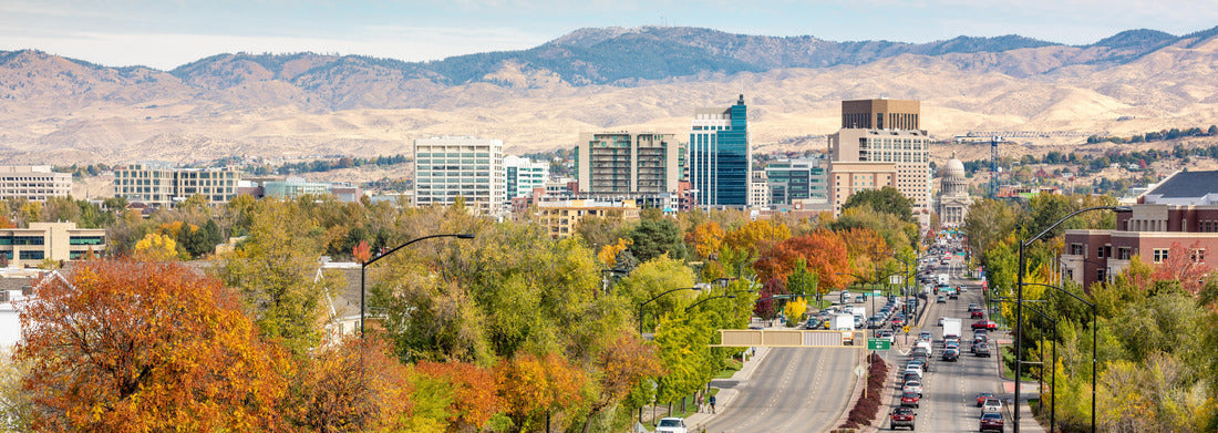 Noah Jigsaw Puzzle Boise Idaho street leading to the capital building in fall panorama 1000 pieces