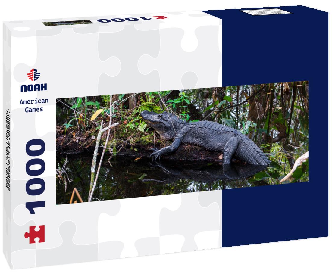 Noah Jigsaw Puzzle Alligator at Everglades National Park, Florida panorama 1000 pieces