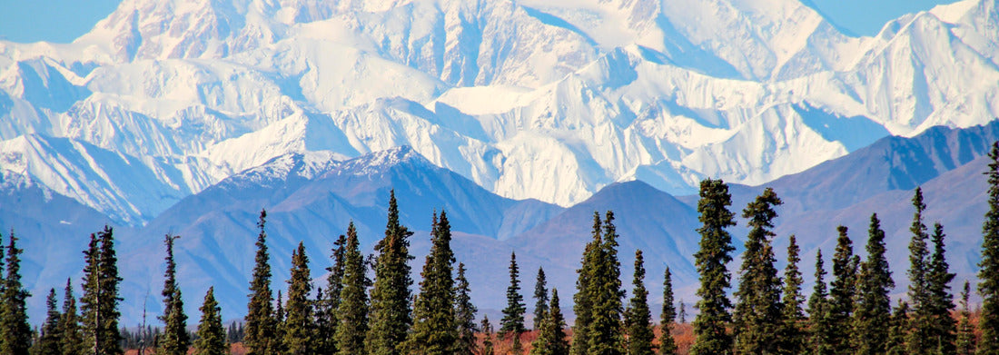 Noah Jigsaw Puzzle Denali is the highest mountain peak in North America, located in Alaska panorama 1000 pieces