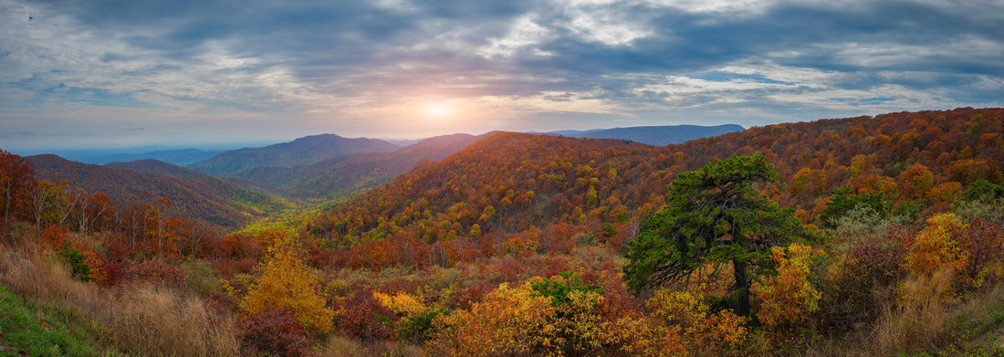 Noah Jigsaw Puzzle An overlook at Shenandoah National Park in Virginia with autumn colors panorama 1000 pieces
