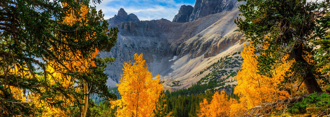 Wheeler Peak-Great Basin National Park, Nevada. This less-visited national park boasts spectacular Wheeler Peak at more than 13,000 feet in elevation 1000pc Panoramic Puzzle
