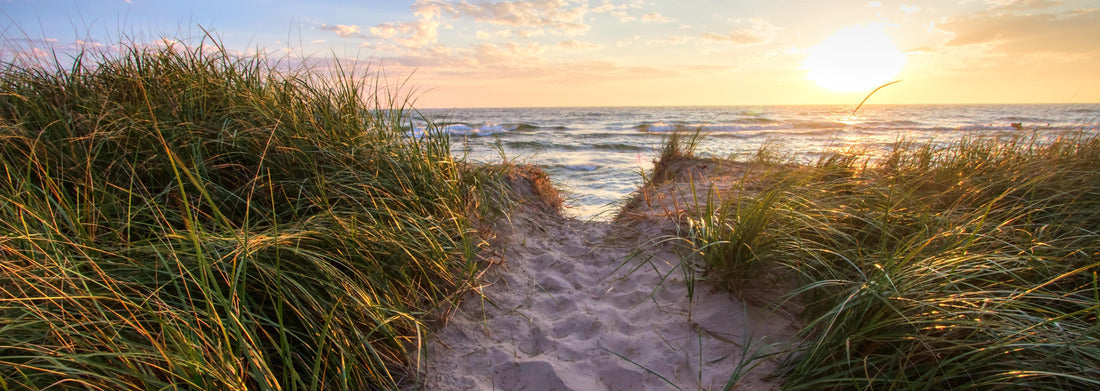 Noah Jigsaw Puzzle Path to a sunny beach. Sand beach path leads to a sunny summer horizon over the open waters of Lake Michigan. Hoffmaster State Park. Muskegon, Michigan panorama 1000 pieces