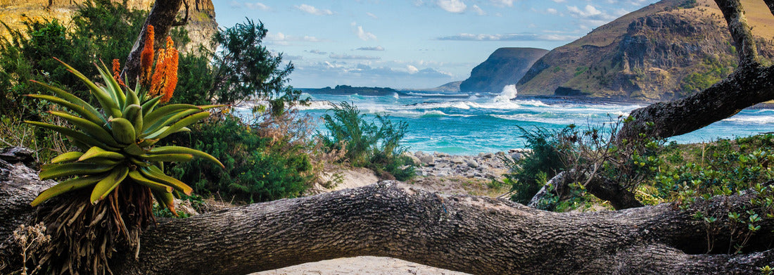 Noah Jigsaw Puzzle nature around the hole in the wall at Coffee Bay on the Wild Coast, Republic of South Africa panorama 1000 pieces