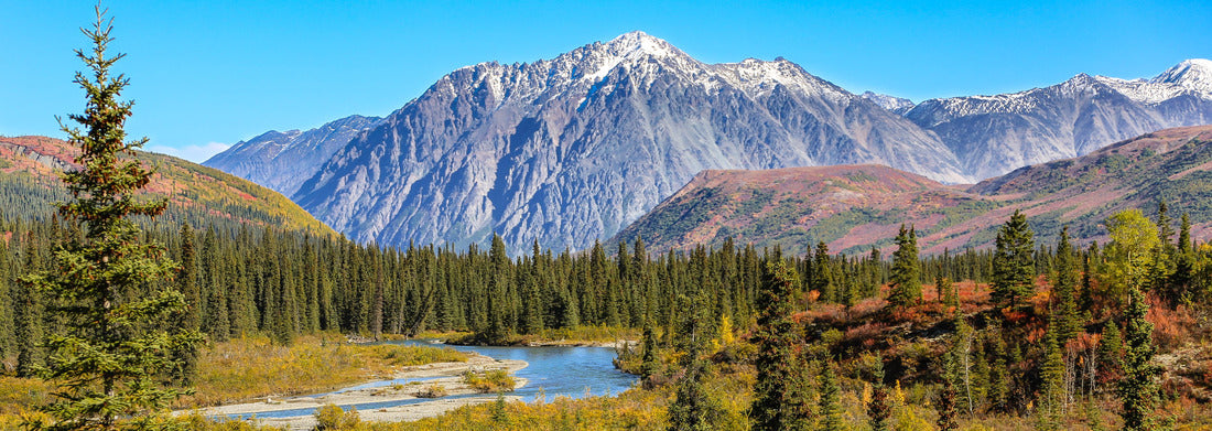 Noah Jigsaw Puzzle Landscape with snow-capped mountains in Denali National Park, Alaska panorama 1000 pieces
