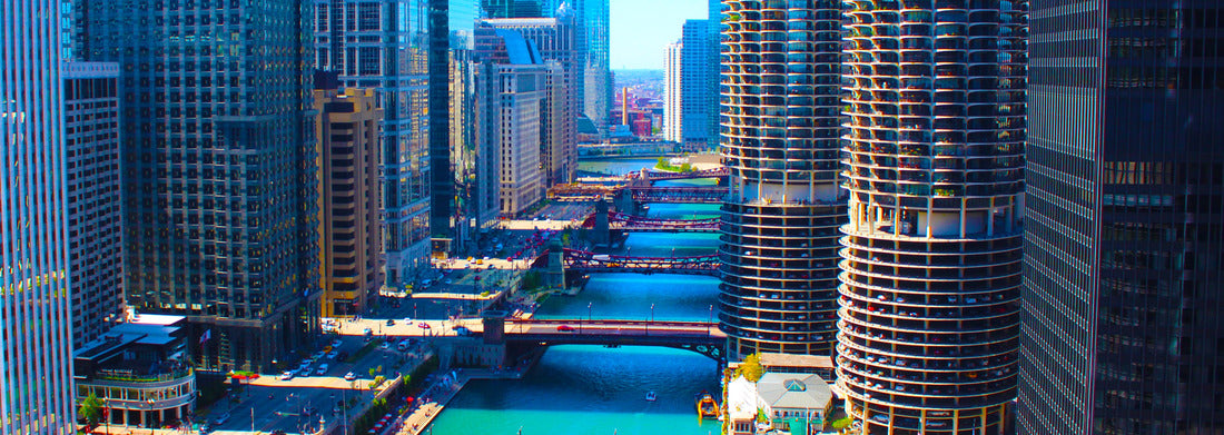 Noah Jigsaw Puzzle Chicago River panorama 1000 pieces