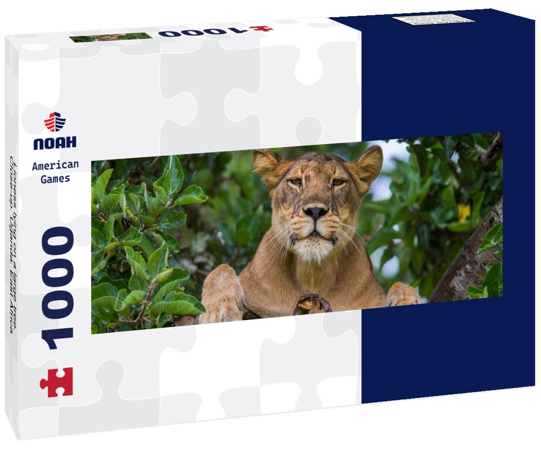Noah Jigsaw Puzzle Lioness lying on a large tree. Close-up. Uganda. East Africa panorama 1000 pieces