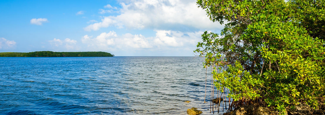 Noah Jigsaw Puzzle Beautiful Biscayne National Park vista from Black Creek Trail panorama 1000 pieces