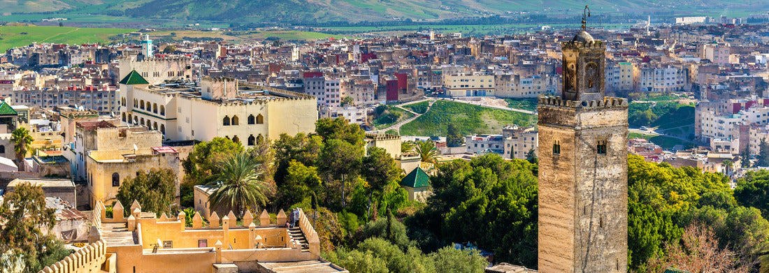 Noah Jigsaw Puzzle Mosque at Bab Guissa Gate in Fez - Morocco panorama 1000 pieces