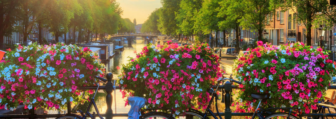 Noah Jigsaw Puzzle Beautiful summer sunrise on the famous UNESCO World Heritage canals of Amsterdam, Netherlands, with vibrant flowers and bicycles on a bridge panorama 1000 pieces