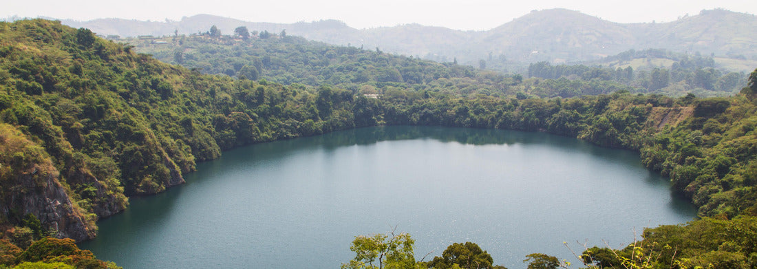 Noah Jigsaw Puzzle Lake Nkuruba Nature Reserve panorama 1000 pieces