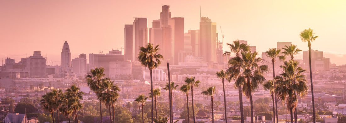 Noah Jigsaw Puzzle Beautiful sunset of Los Angeles skyline in the city center and palm trees in the foreground panorama 1000 pieces