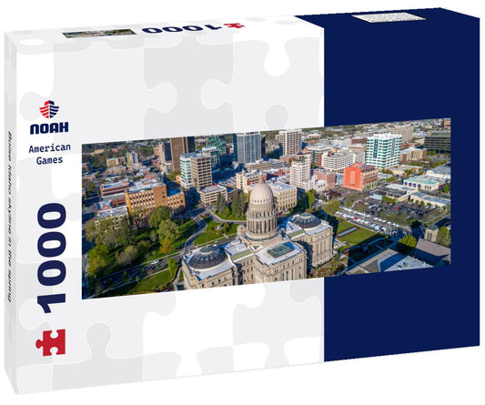 Noah Jigsaw Puzzle Boise Idaho skyline in the spring panorama 1000 pieces