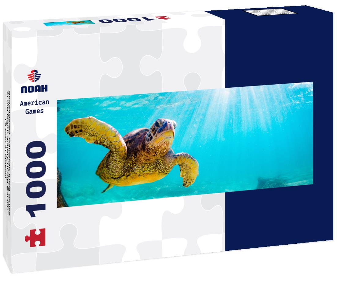 Noah Jigsaw Puzzle endangered Hawaiian turtle cruise in the warm waters of the Pacific Ocean in Hawaii panorama 1000 pieces