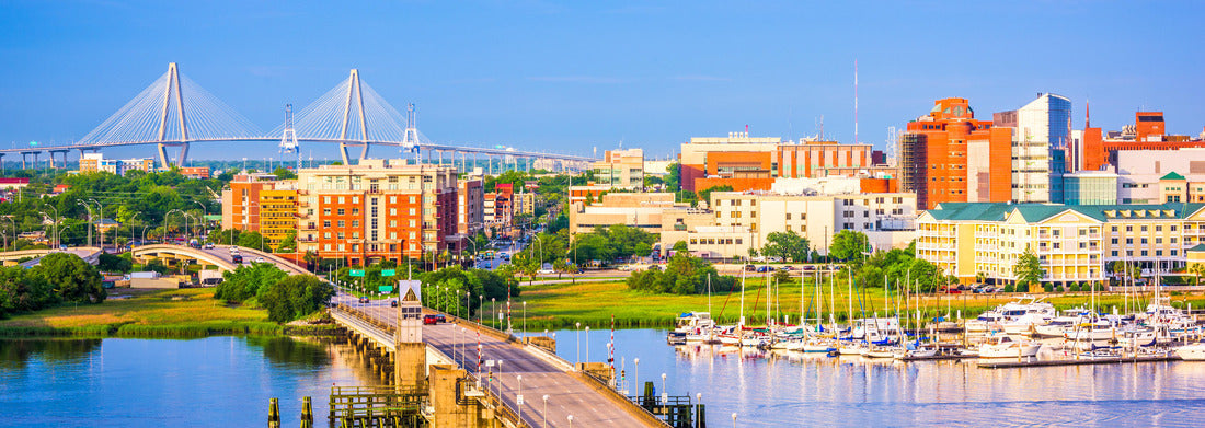 Noah Jigsaw Puzzle Charleston, South Carolina, USA skyline over the Ashley River panorama 1000 pieces
