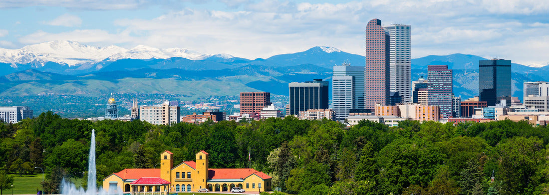 Noah Jigsaw Puzzle Denver Colorado downtown with City Park panorama 1000 pieces