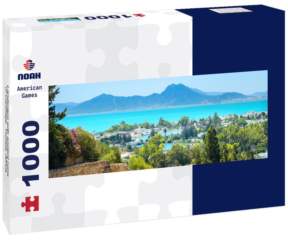 Noah Jigsaw Puzzle Landscape with ancient ruins of Carthage. Tunisia, Africa panorama 1000 pieces