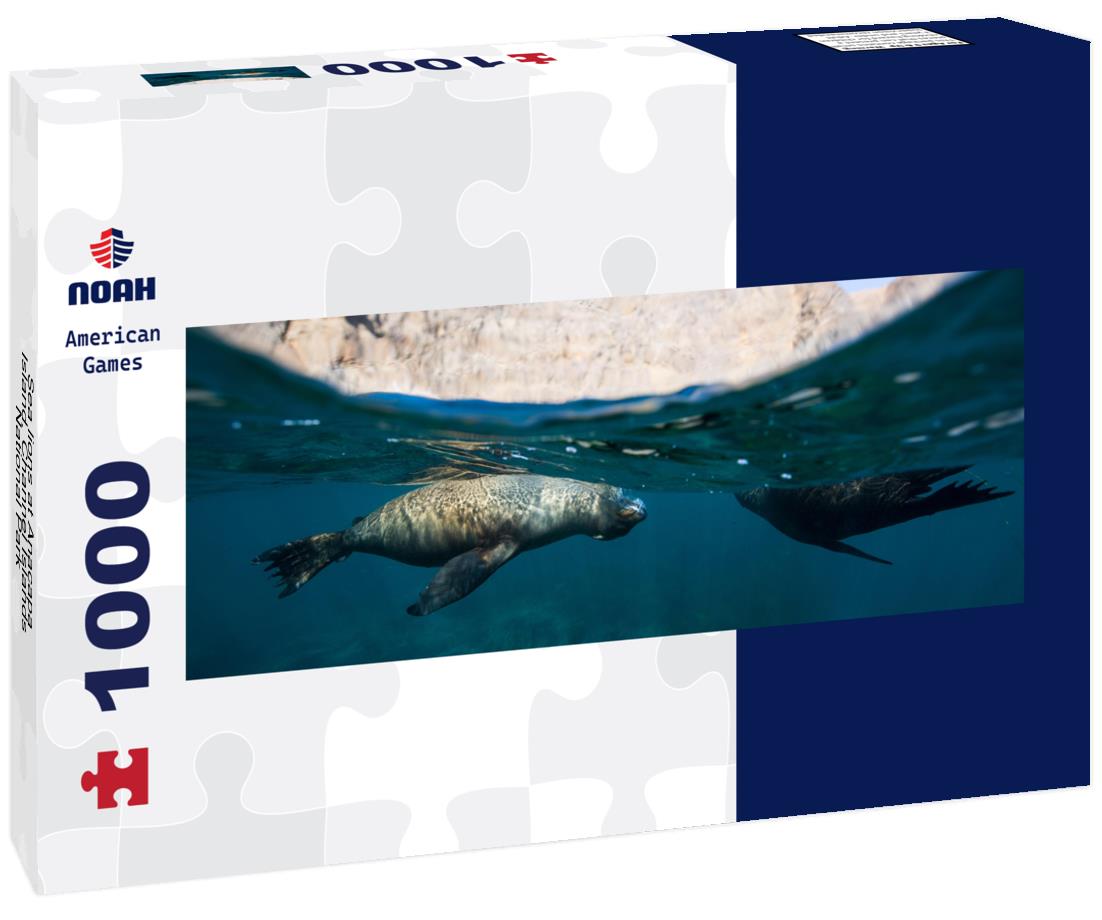 Noah Jigsaw Puzzle Sea lions at Anacapa Island, Channel Islands National Park panorama 1000 pieces